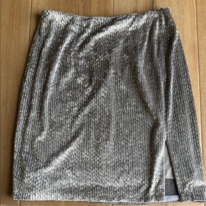 Elegant Silver Sequin Skirt